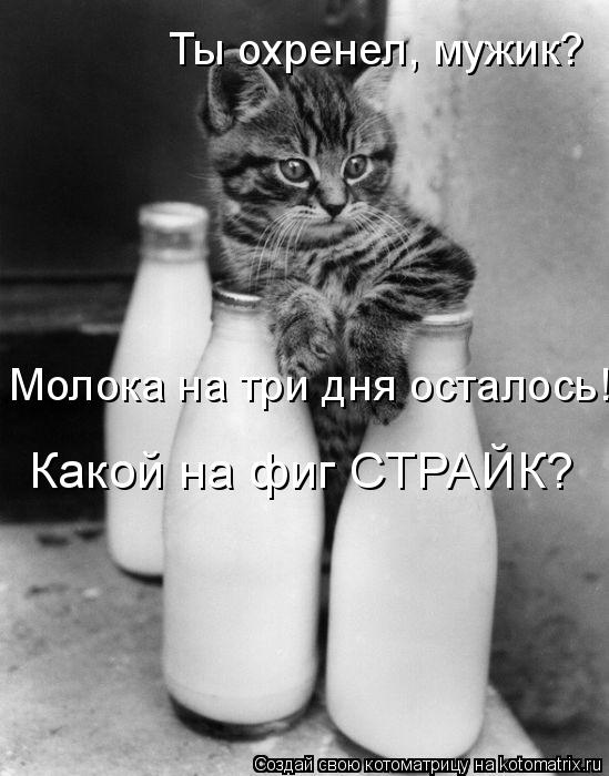 Котоматрица: Ты охренел, мужик? Молока на три дня осталось! Какой на фиг СТРАЙК?