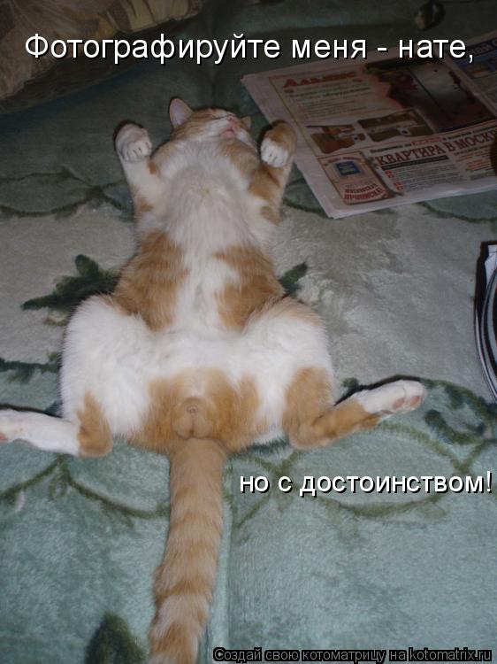 Котоматрица: Фотографируйте меня - нате,  но с достоинством!