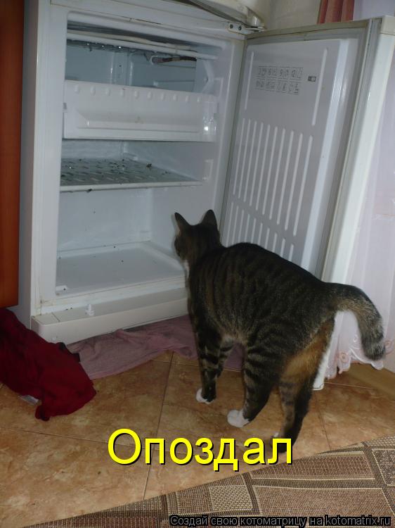 Котоматрица: Опоздал
