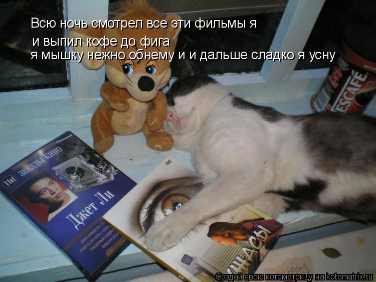 Котоматрица: Всю ночь смотрел все эти фильмы я и выпил кофе до фига я мышку нежно обнему и и дальше сладко я усну