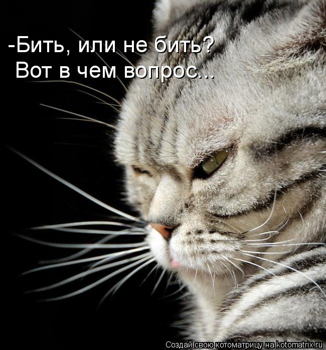 Котоматрица: -Бить, или не бить? Вот в чем вопрос...