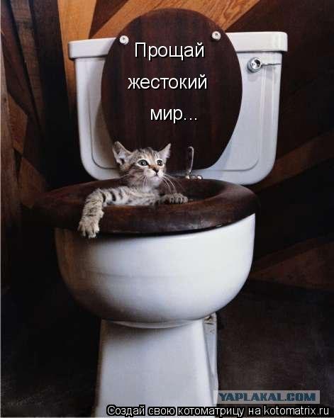 Котоматрица: Прощай жестокий мир...
