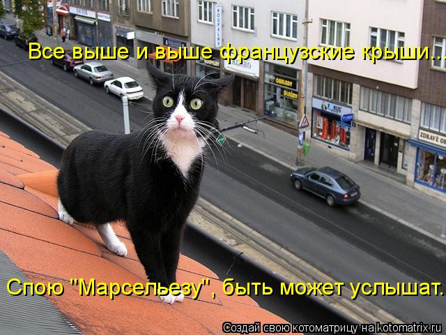Котоматрица: Все выше и выше французские крыши... Спою "Марсельезу", быть может услышат...