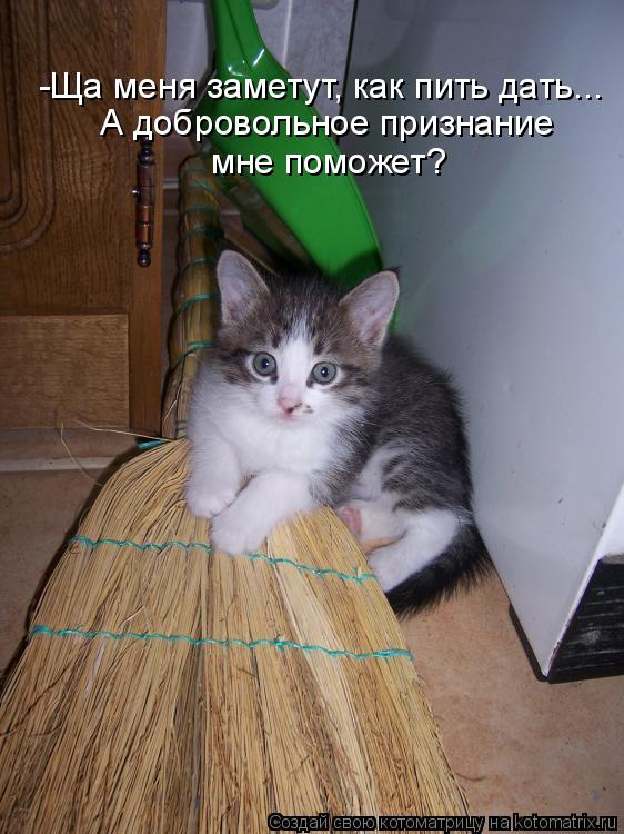 Котоматрица: -Ща меня заметут, как пить дать... А добровольное признание  мне поможет?
