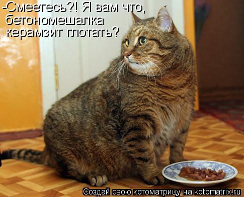 Котоматрица: -Смеетесь?! Я вам что,  бетономешалка керамзит глотать?