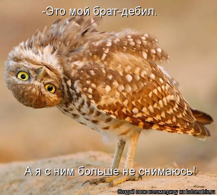 Котоматрица: -Это мой брат-дебил. А я с ним больше не снимаюсь!