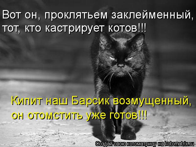 Котоматрица: Вот он, проклятьем заклейменный,  тот, кто кастрирует котов!!! Кипит наш Барсик возмущенный,  он отомстить уже готов!!!