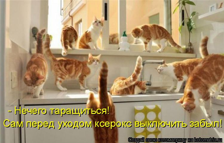 - Нечего таращиться! Сам перед уходом ксерокс выключить забыл!... Котоматрица: - Нечего таращиться! Сам перед уходом ксерокс выключить забыл!