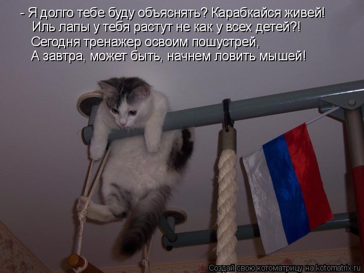 - Я долго тебе буду объяснять? Карабкайся живей! Иль лапы у тебя растут не как у всех детей?! Сегодня... Котоматрица: - Я долго тебе буду объяснять? Карабкайся живей! Иль лапы у тебя растут не как у всех детей?! Сегодня тренажер освоим пошустрей, А завтра, може
