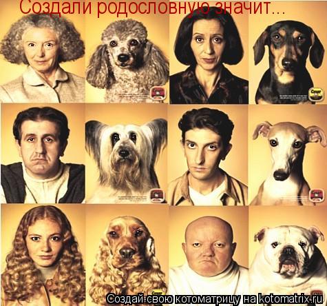 Создали родословную значит...... Котоматрица: Создали родословную значит...
