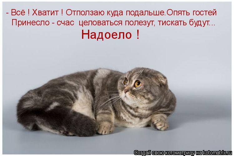 - Всё ! Хватит ! Отползаю куда подальше.Опять гостей Принесло - счас целоваться полезут, тискать бу... Котоматрица: - Всё ! Хватит ! Отползаю куда подальше.Опять гостей Принесло - счас целоваться полезут, тискать будут... Надоело !