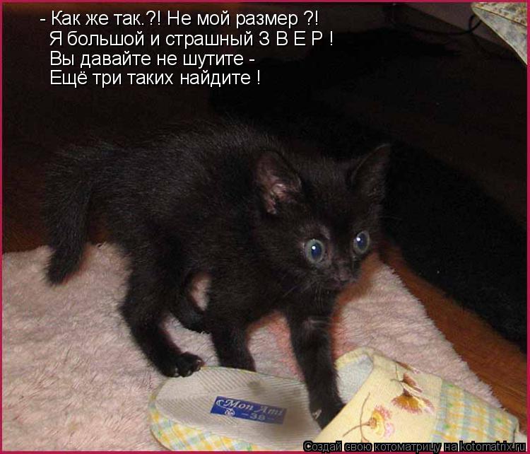 - Как же так.?! Не мой размер ?! Я большой и страшный З В Е Р ! Вы давайте не шутите - Ещё три таких ... Котоматрица: - Как же так.?! Не мой размер ?! Я большой и страшный З В Е Р ! Вы давайте не шутите - Ещё три таких найдите !