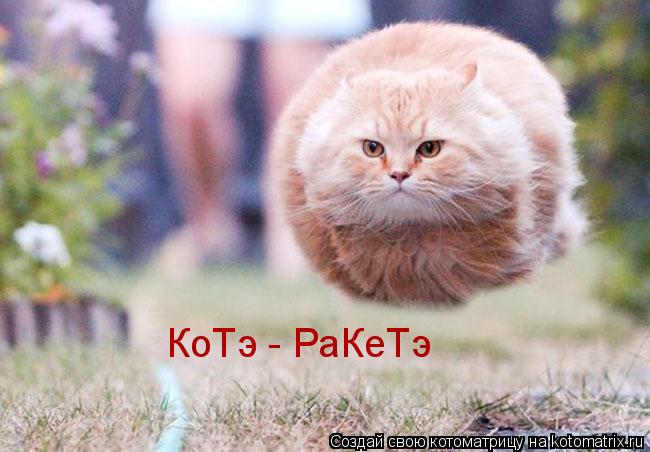 Котоматрица: КоТэ - РаКеТэ
