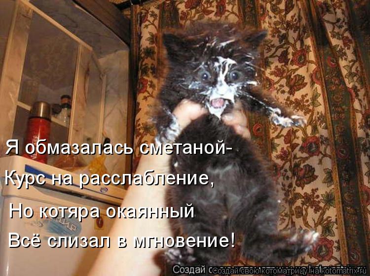 Я обмазалась сметаной- Курс на расслабление, Но котяра окаянный Всё слизал в мгновение!... Котоматрица: Я обмазалась сметаной- Курс на расслабление, Но котяра окаянный Всё слизал в мгновение!