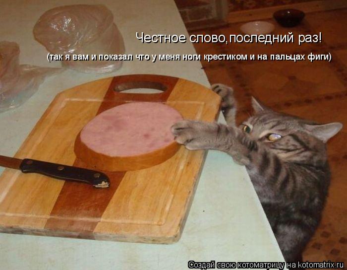 Котоматрица: Честное слово,последний раз! (так я вам и показал что у меня ноги крестиком и на пальцах фиги)