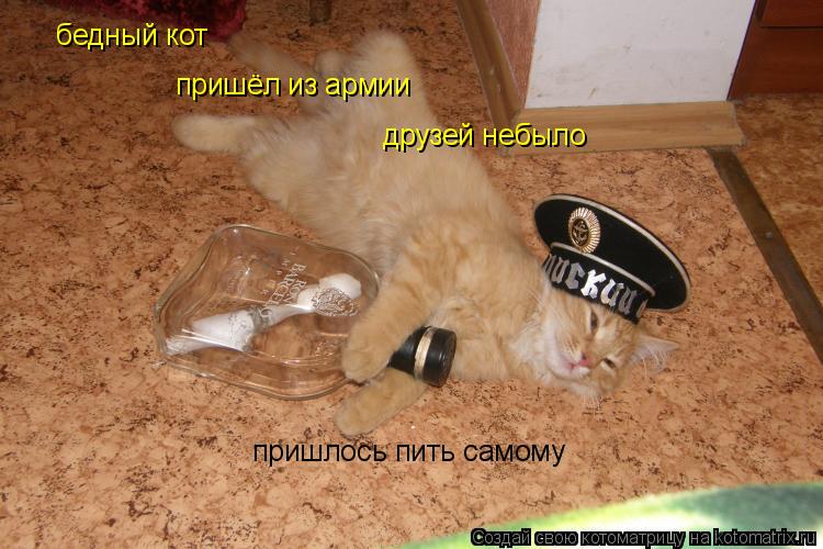 Котоматрица: бедный кот  пришёл из армии друзей небыло пришлось пить самому