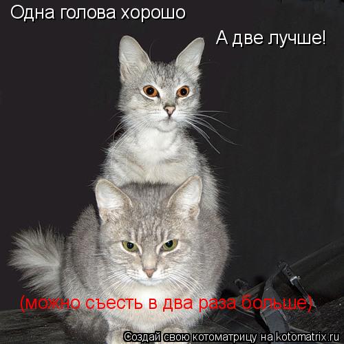 Котоматрица: Одна голова хорошо А две лучше! (можно съесть в два раза больше)
