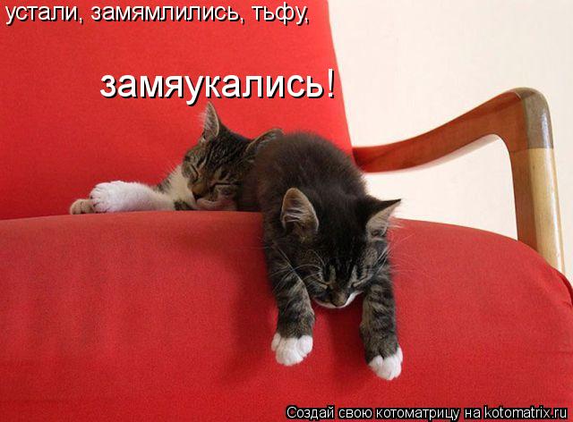 Котоматрица: устали, замямлились, тьфу, замяукались!