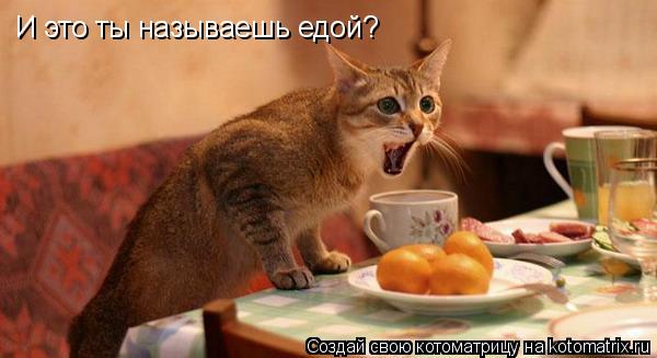 Котоматрица: И это ты называешь едой?
