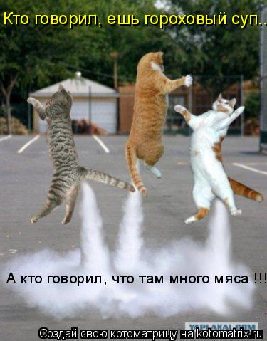 Котоматрица: А кто говорил, что там много мяса !!! Кто говорил, ешь гороховый суп...