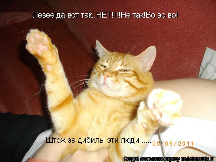 Котоматрица: Левее да вот так..НЕТ!!!!Не так!Во во во! Штож за дибилы эти люди...........