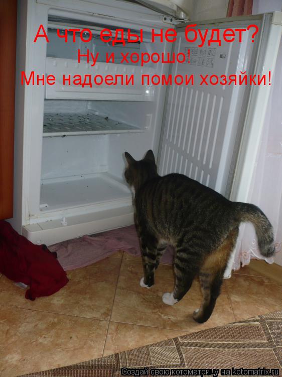 Котоматрица: А что еды не будет? Ну и хорошо!  Мне надоели помои хозяйки!