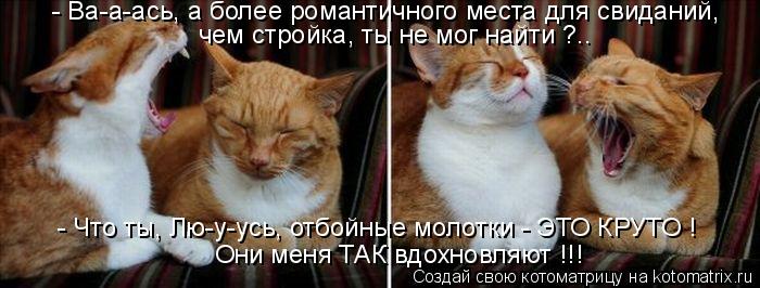 Котоматрица: - Ва-а-ась, а более романтичного места для свиданий, чем стройка, ты не мог найти ?.. - Что ты, Лю-у-усь, отбойные молотки - ЭТО КРУТО ! Они меня ТАК