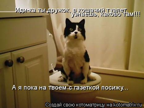 Котоматрица: Иди-ка ты дружок, в кошачий туалет, узнаешь, каково там!!! А я пока на твоем с газеткой посижу...