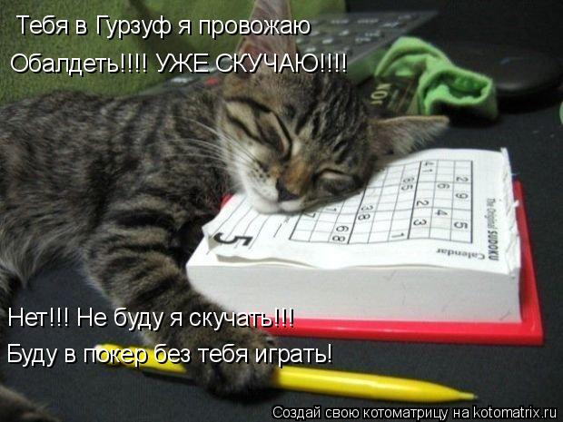 Котоматрица: Тебя в Гурзуф я провожаю Обалдеть!!!! УЖЕ СКУЧАЮ!!!! Нет!!! Не буду я скучать!!! Буду в покер без тебя играть!
