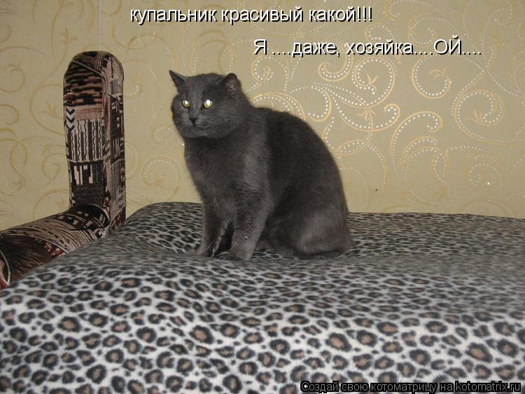 Котоматрица: купальник красивый какой!!! Я ....даже, хозяйка....ОЙ....