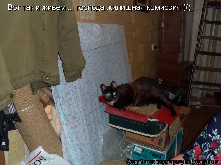 Котоматрица: Вот так и живем ... господа жилищная комиссия (((
