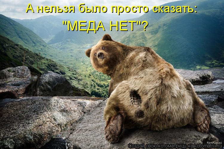 Котоматрица: А нельзя было просто сказать:  "МЕДА НЕТ"?