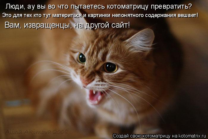 Люди, ау вы во что пытаетесь котоматрицу превратить? Это для тех кто тут материться и картинки непоня... Котоматрица: Люди, ау вы во что пытаетесь котоматрицу превратить? Это для тех кто тут материться и картинки непонятного содержания вешает! Вам, извращен