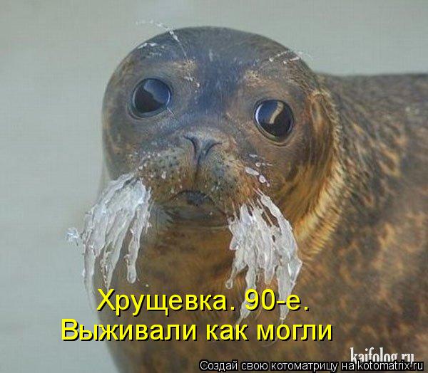 Котоматрица: Выживали как могли Выживали как могли Хрущевка. 90-е.