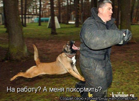 Котоматрица: На работу? А меня покормить?