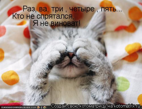 Раз, ва, три , четыре , пять... Кто не спрятался, Я не виноват!... Котоматрица: Раз, ва, три , четыре , пять... Кто не спрятался, Я не виноват!