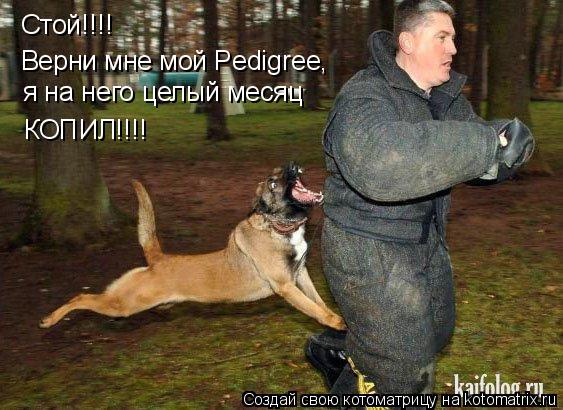 Котоматрица: Стой!!!! Стой!!!! Верни мне мой Pedigree, я на него целый месяц КОПИЛ!!!!