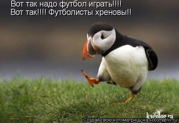 Котоматрица: Вот так надо футбол играть!!!! Вот так!!!! Футболисты хреновы!!