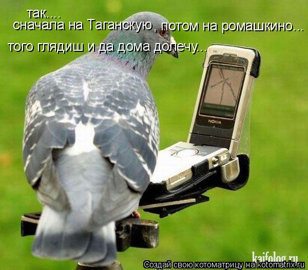 Котоматрица: так.... сначала на Таганскую , потом на ромашкино... того глядиш и да дома долечу...