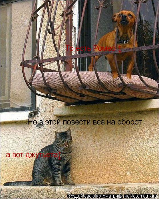 То есть Ромео ↨ а вот джутьета↨ Но в этой повести все на оборот!... Котоматрица: То есть Ромео ↨ а вот джутьета↨ Но в этой повести все на оборот!