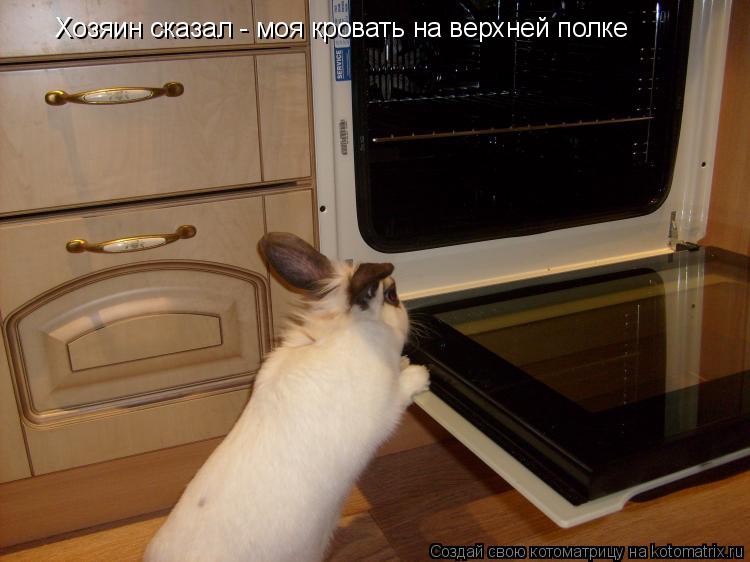 Хозяин сказал - моя кровать на верхней полке... Котоматрица: Хозяин сказал - моя кровать на верхней полке
