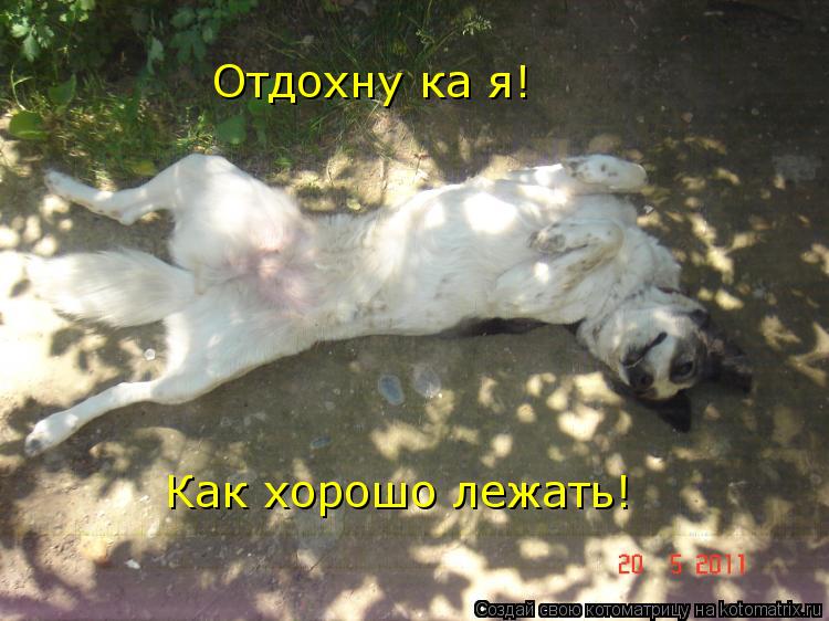 Котоматрица: Отдохну ка я! Как хорошо лежать!