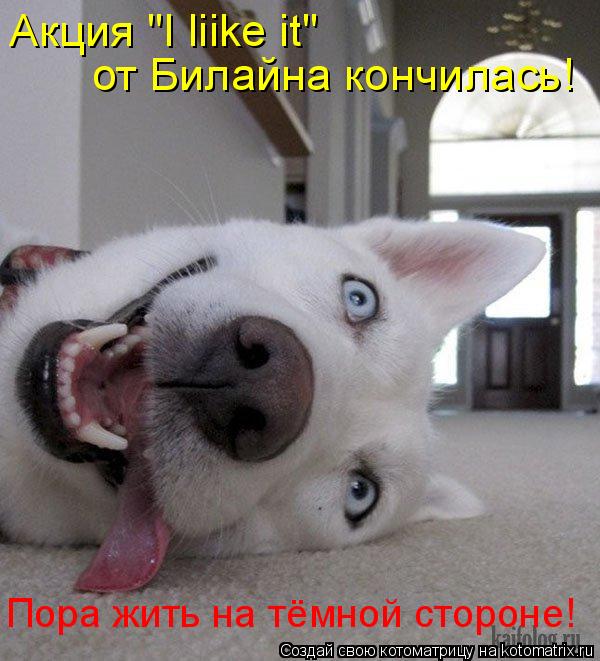 Котоматрица: от Билайна кончилась! Акция "I liike it" Пора жить на тёмной стороне!