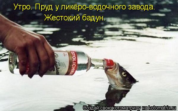Утро. Пруд у ликёро-водочного завода. Жестокий бадун.... Котоматрица: Утро. Пруд у ликёро-водочного завода. Жестокий бадун.