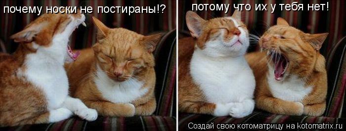 Котоматрица: почему носки не постираны!? потому что их у тебя нет!