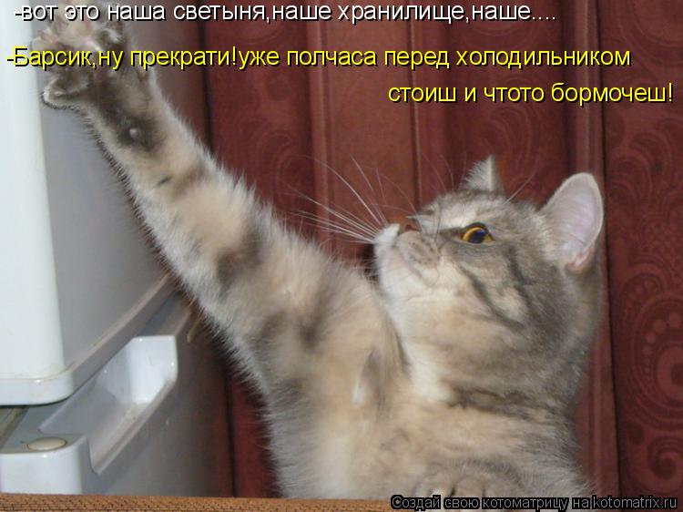 -вот это наша светыня,наше хранилище,наше.... -Барсик,ну прекрати!уже полчаса перед холодильником ст... Котоматрица: -вот это наша светыня,наше хранилище,наше.... -Барсик,ну прекрати!уже полчаса перед холодильником стоиш и чтото бормочеш!