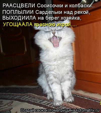 РААСЦВЕЛИ Сосисочки и колбаски.. ПОПЛЫЛИИ Сардельки над рекой, ВЫХОДИИЛА на берег хозяйка, УГОЩААЛА к... Котоматрица: РААСЦВЕЛИ Сосисочки и колбаски.. ПОПЛЫЛИИ Сардельки над рекой, ВЫХОДИИЛА на берег хозяйка, УГОЩААЛА красною икрой....