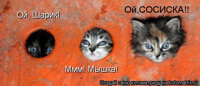 Ммм! Мышка! Ой,СОСИСКА!! Ой, Шарик!... Котоматрица: Ммм! Мышка! Ой,СОСИСКА!! Ой, Шарик!