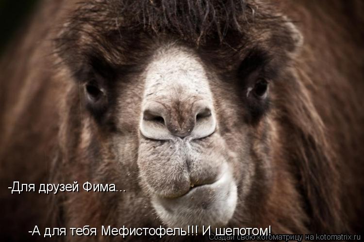 Котоматрица: -Для друзей Фима... -А для тебя Мефистофель!!! И шепотом!