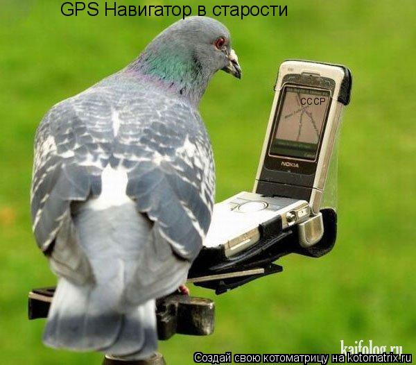 СССР GPS Навигатор в старости... Котоматрица: СССР GPS Навигатор в старости